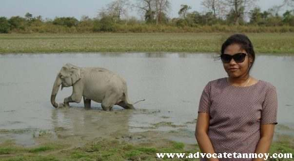 Photo Courtesy : Debolina Choudhury Advocate , Howrah District Court