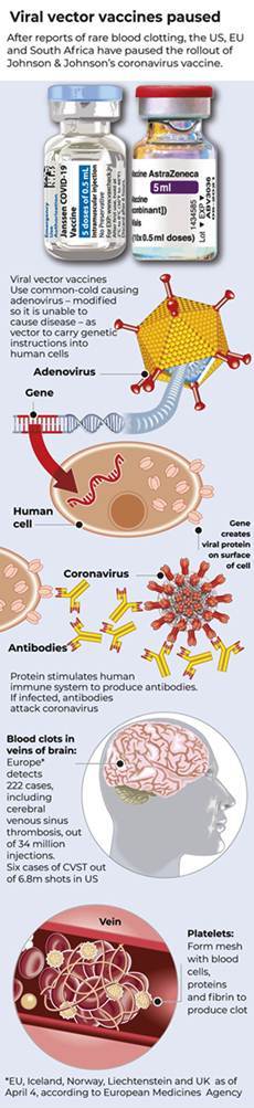 Graphic-Vector-virus-vaccines