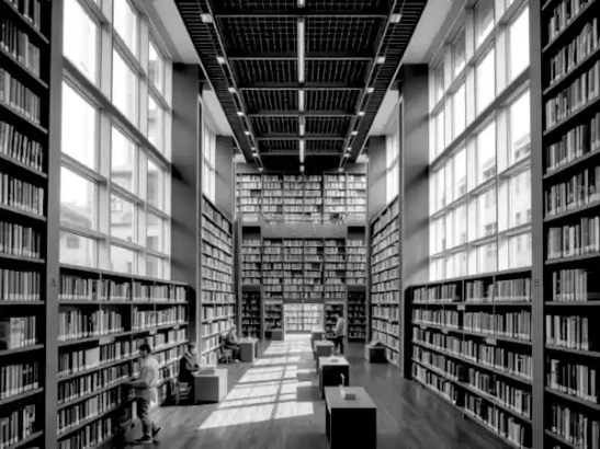 Library System