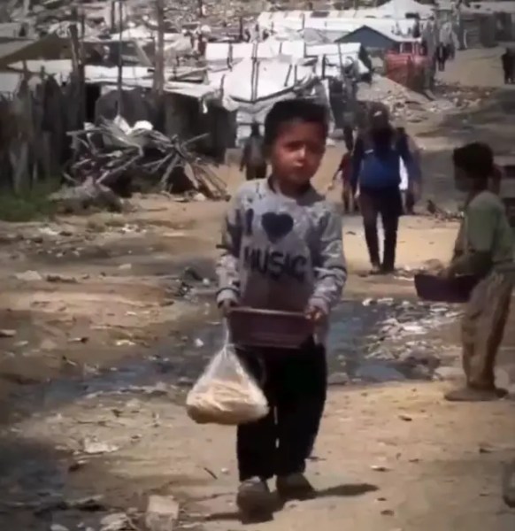 No Progress in Gaza: Rethinking the Board of Peace Strategy